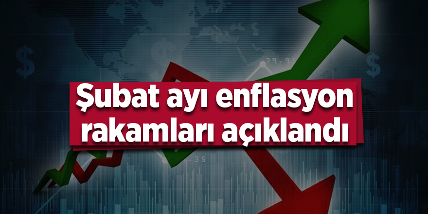 Şubat ayı enflasyon rakamları açıklandı