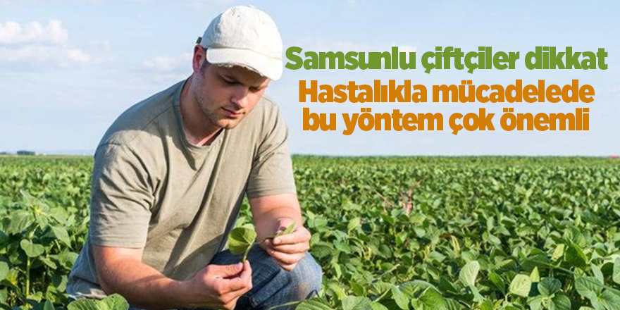 Samsunlu çiftçiler dikkat