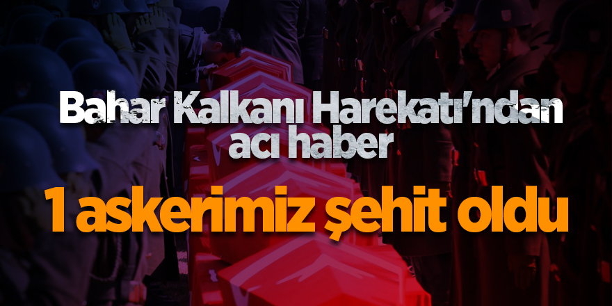 Bahar Kalkanı Harekatı'ndan acı haber