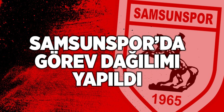 Samsunspor görev dağılımı yapıldı