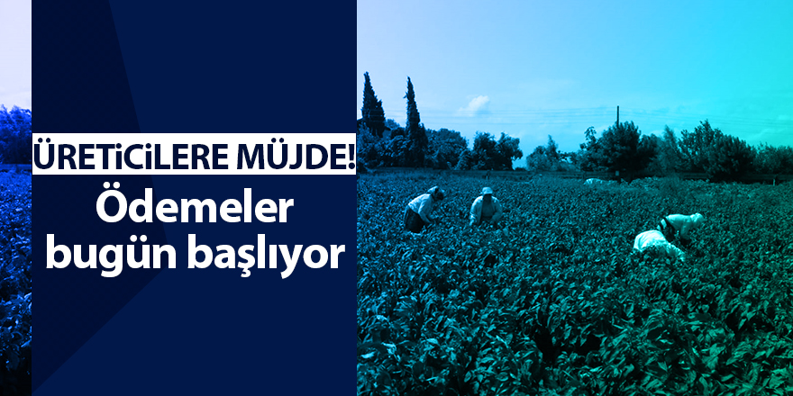 Üreticilere müjde! Ödemeler bugün başlıyor