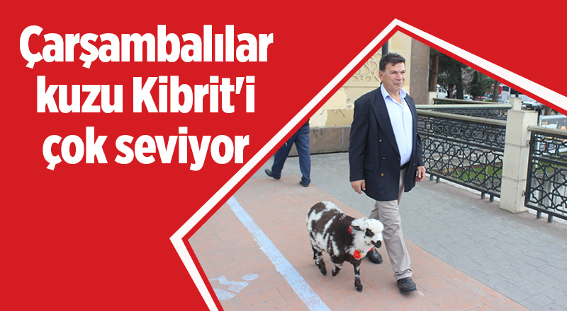 Çarşambalılar kuzu Kibrit'i çok seviyor