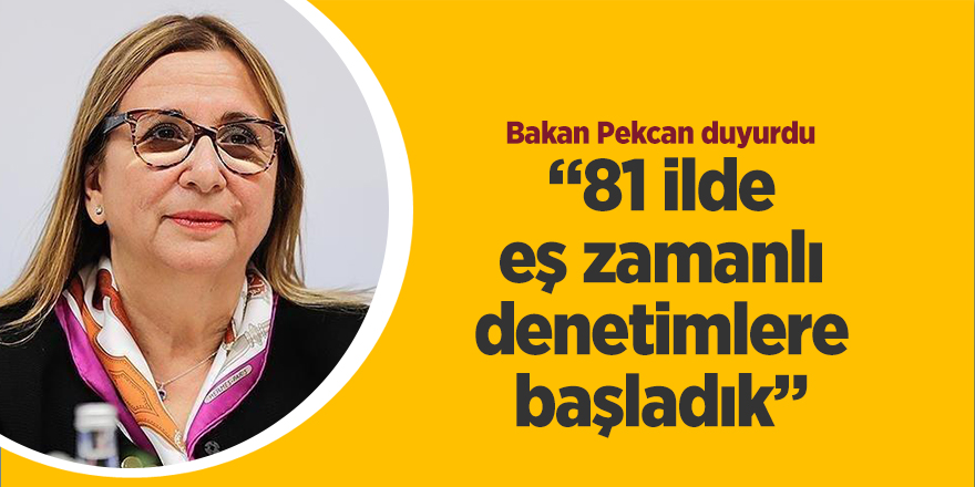 81 ilde eş zamanlı denetimlere başladık