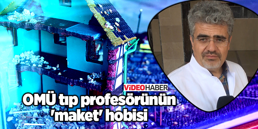 OMÜ tıp profesörünün 'maket' hobisi