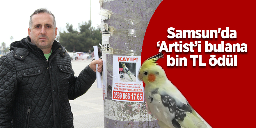 Samsun'da ‘Artist’i bulana bin TL ödül