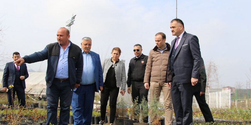 Salıpazarı Belediyesi'nden fidan seferberliği