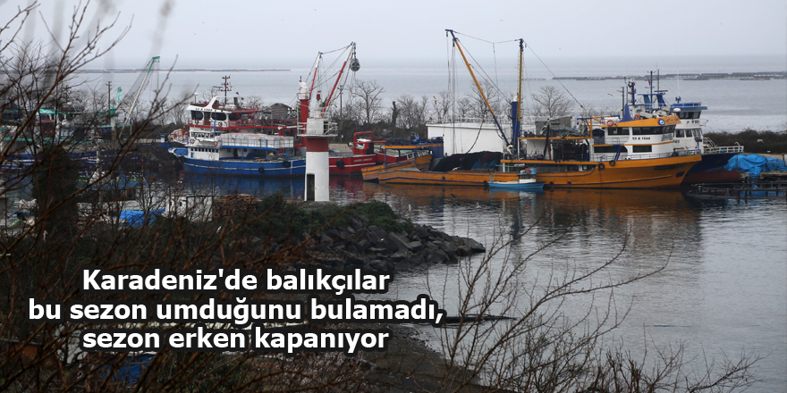 Karadeniz'de balıkçılar sezonu erken kapatıyor