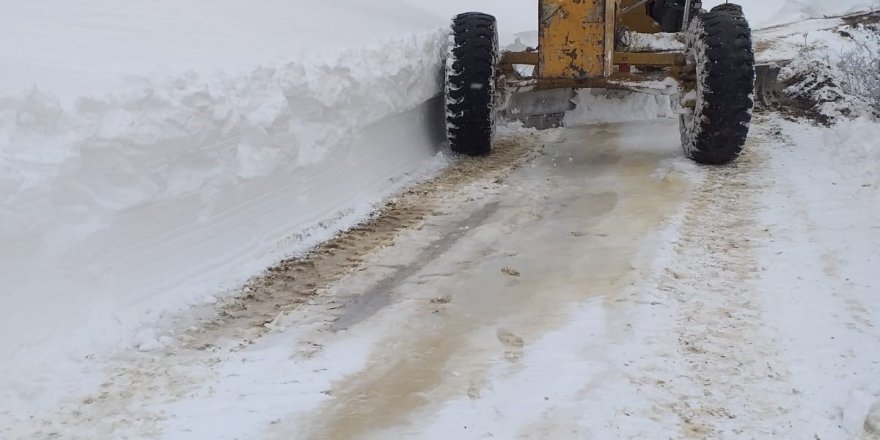 Bafra'da 'mart karı' ile mücadele çalışmaları