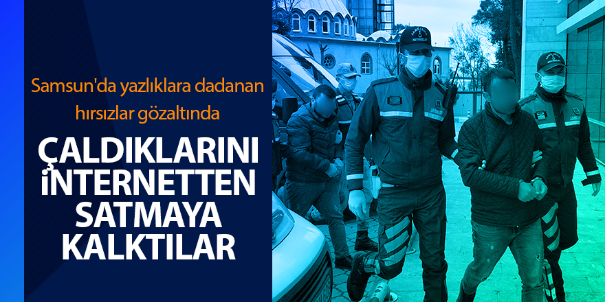 Samsun'da yazlıklara dadanan hırsızlar gözaltında