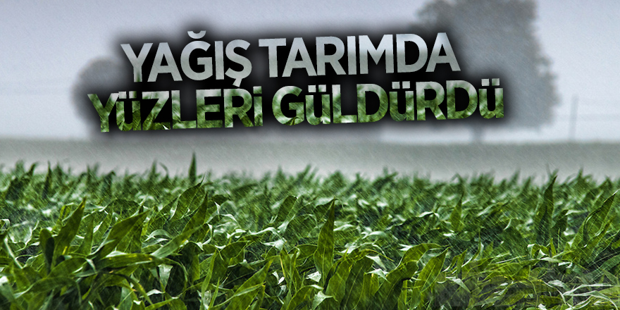 Yağış tarımda yüzleri güldürdü