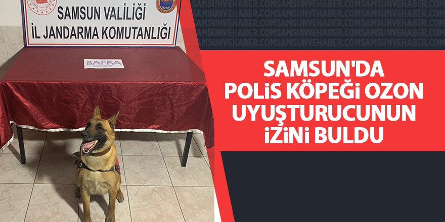 Samsun'da 100 adet uyuşturucu hap ele geçirdi