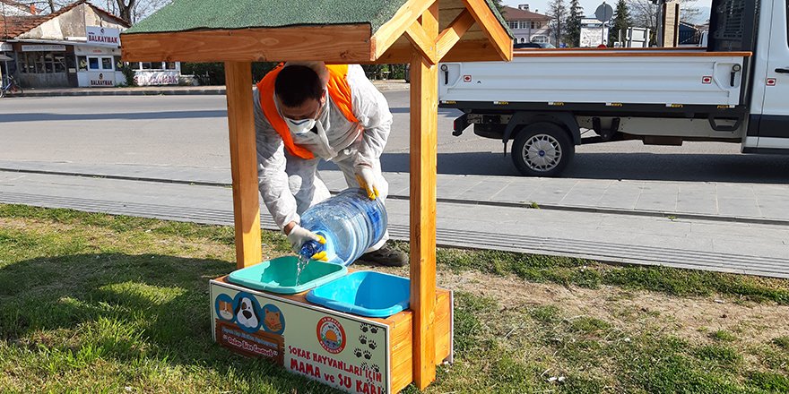 19 Mayıs Belediyesi sokak hayvanlarını unutmadı