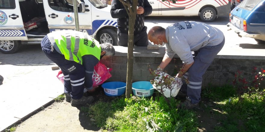 Salıpazarı Belediyesi sokak hayvanlarını unutmadı