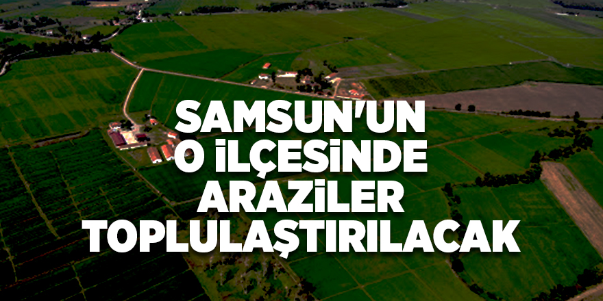 Samsun'un o ilçesinde araziler toplulaştırılacak