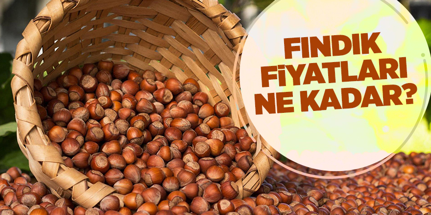 Fındık fiyatları ne kadar?