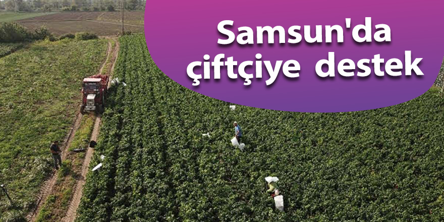 Samsun'da çiftçiye  destek