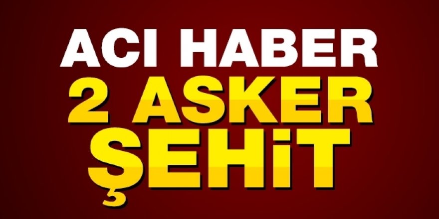 Bitlis’ten acı haber: 2 şehit