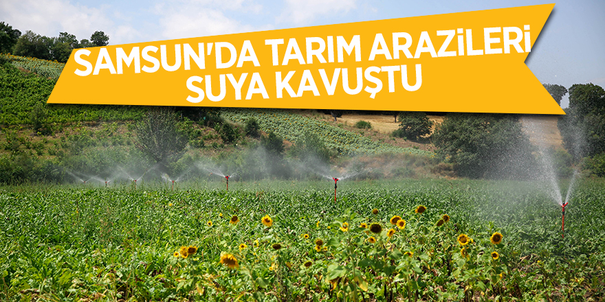 Samsun'da tarım arazileri suya kavuştu