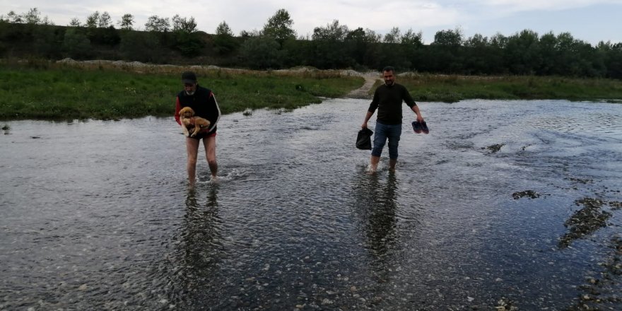 Samsun'da yaralanan yavru köpeğinin imdadına hayvanseverler koştu