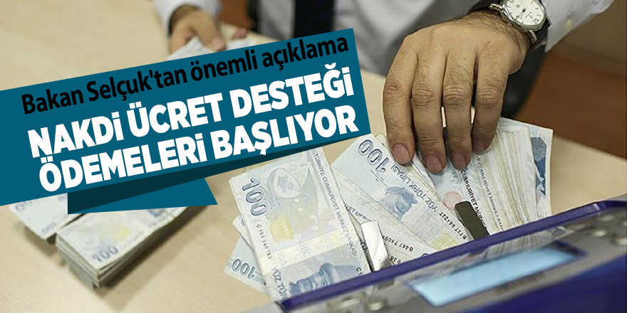 Bakan Selçuk'tan önemli açıklama