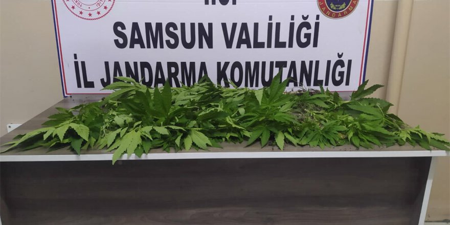 Samsun'da uyuşturucu operasyonunda 2 kişi tutuklandı