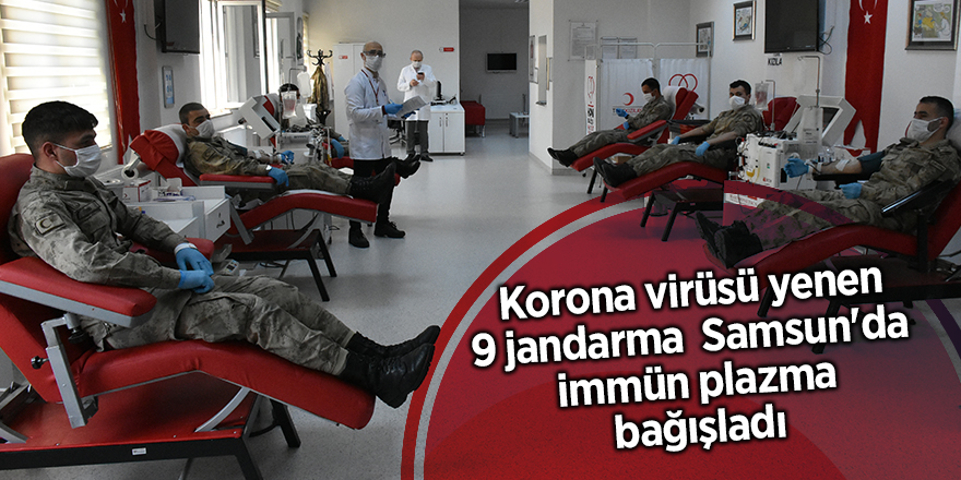 Korona virüsü yenen 9 jandarma  Samsun'da  immün plazma bağışladı