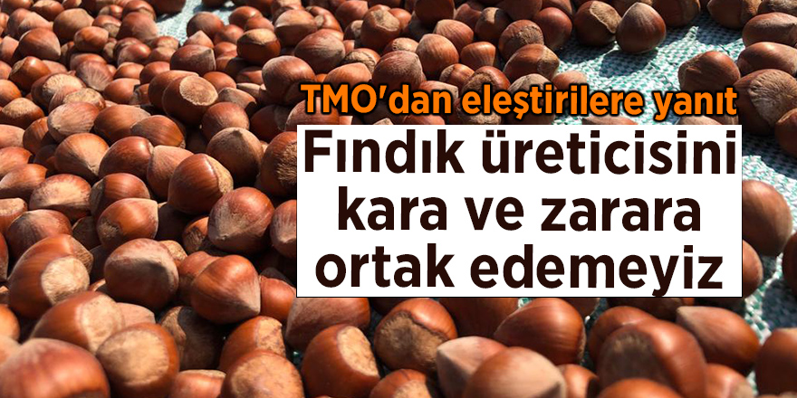 TMO'dan eleştirilere yanıt! Fındık üreticisini kara ve zarara ortak edemeyiz