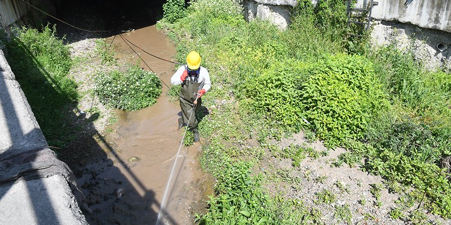 Samsun Büyükşehir Belediyesi’nden ‘Larva’ temizliği