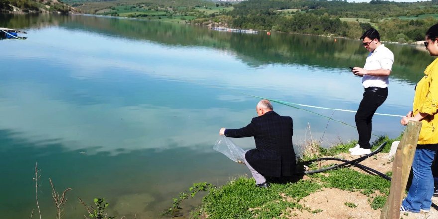 Samsun'da  110 bin sazan yavrusu  göllere bırakıldı