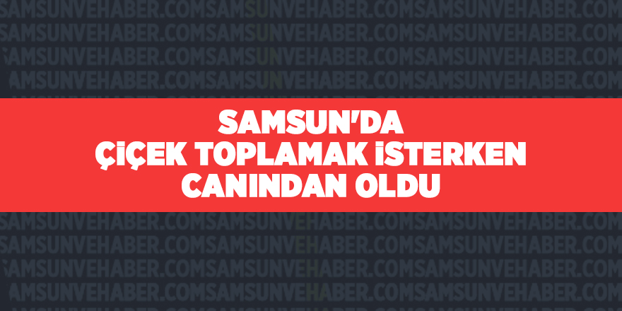 Samsun'da çiçek toplamak isterken canından oldu