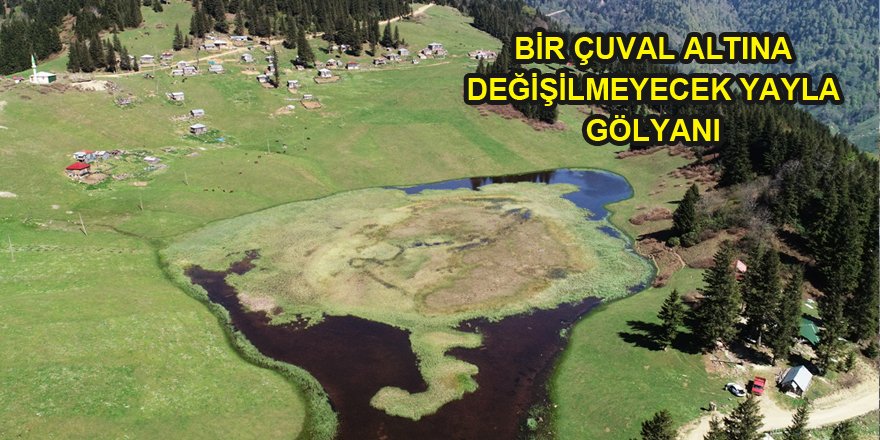 Sakinlerinin "bir çuval altına değişmediği" yayla: Gölyanı