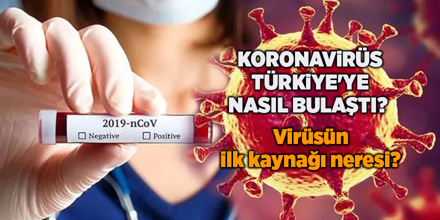 Koronavirüs Türkiye'ye nasıl bulaştı?