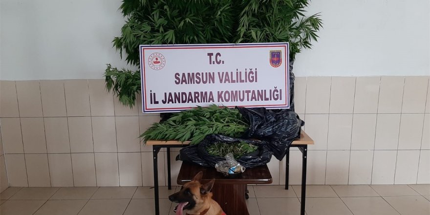 Samsun'da ekipler uyuşturucu tacirlerine göz açtırmadı