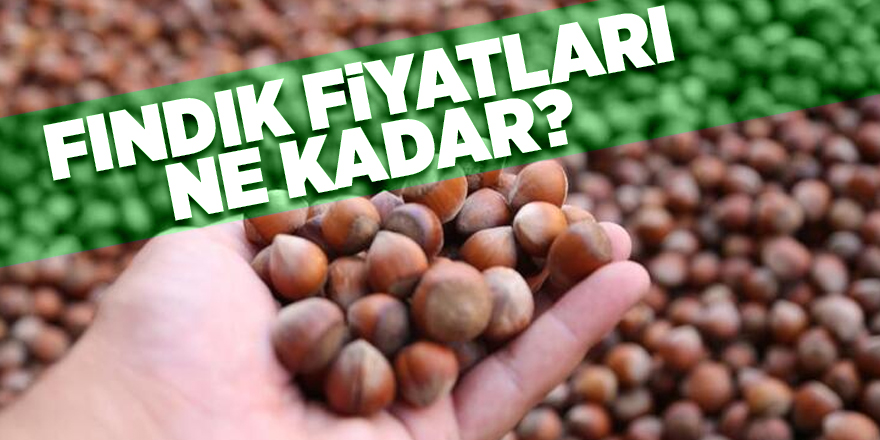 27 Mayıs güncel fındık fiyatları 