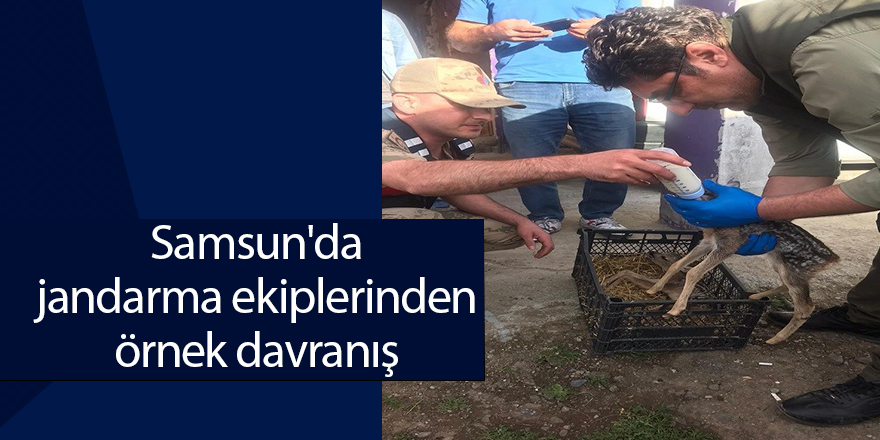 Samsun'da jandarma ekiplerinden örnek davranış