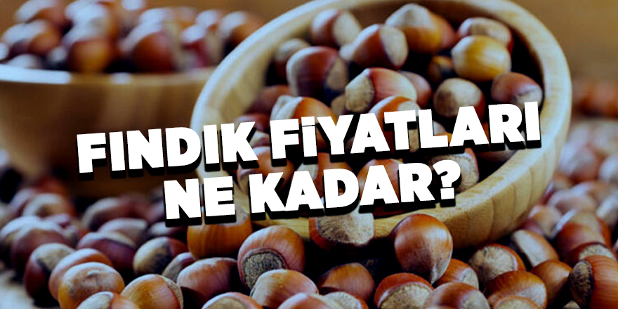 28 Mayıs güncel fındık fiyatları