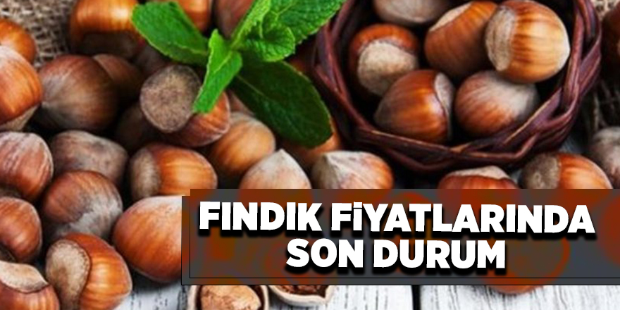 29 Mayıs güncel fındık fiyatları