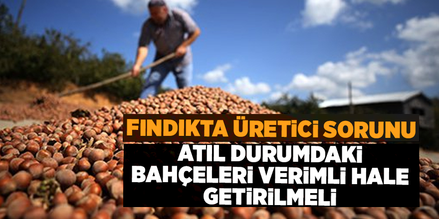 Fındıkta üretici sorunu