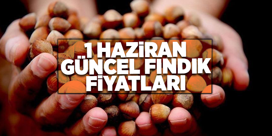 1 Haziran güncel fındık fiyatları