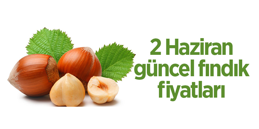 2 Haziran güncel fındık fiyatları