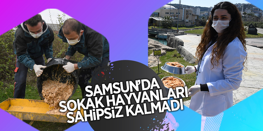 Samsun’da sokaktaki dostlara 47 ton mama dağıtıldı