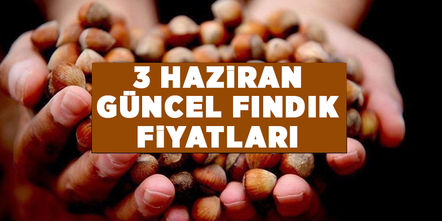 3 Haziran güncel fındık fiyatları