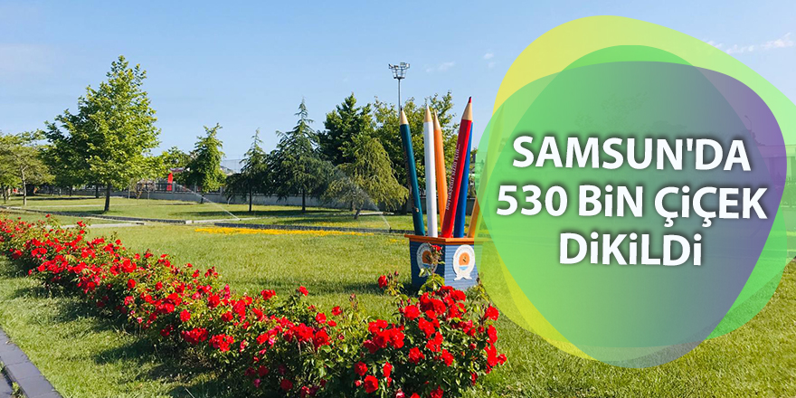 Samsun'da 530 bin çiçek dikildi