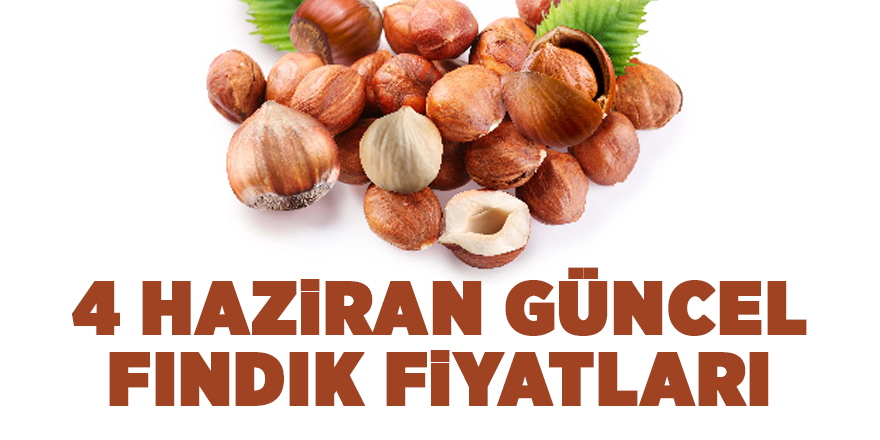 4 Haziran güncel fındık fiyatları