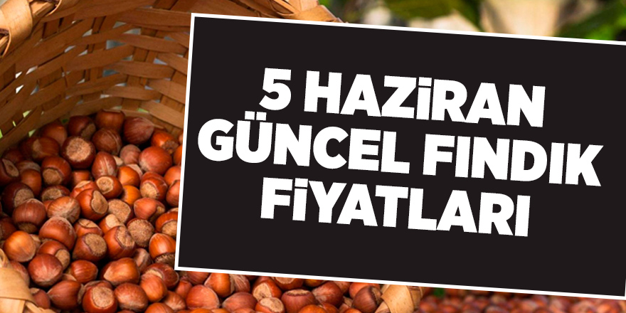 5 Haziran güncel fındık fiyatları