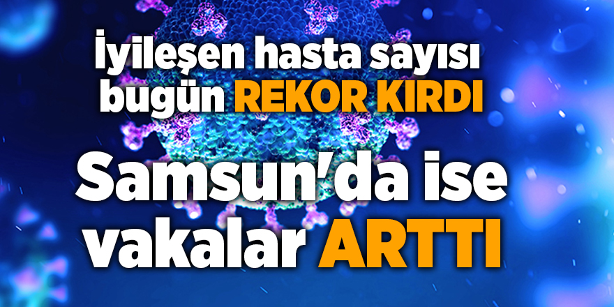 Türkiye'de Korona virüsten ölenleri sayısı yeniden 20'in altına düştü