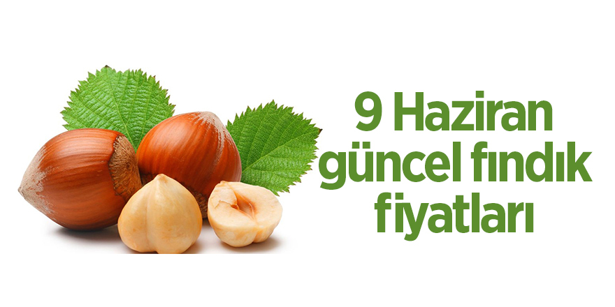 9 Haziran güncel fındık fiyatları