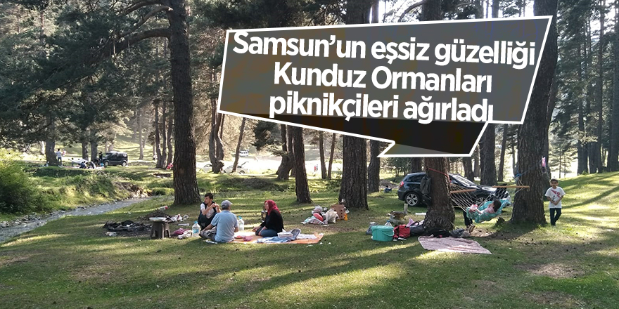 Samsun’un eşsiz güzelliği Kunduz Ormanları piknikçileri ağırladı