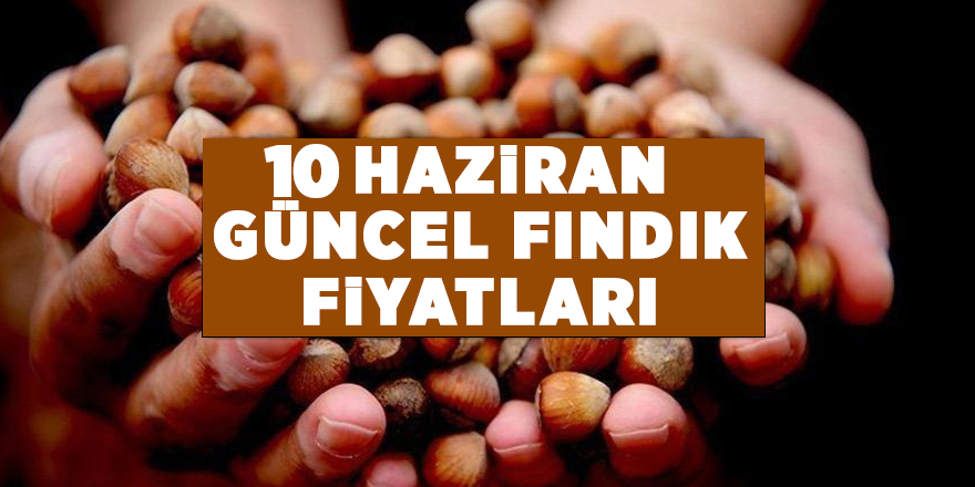 10 Haziran güncel fındık fiyatları