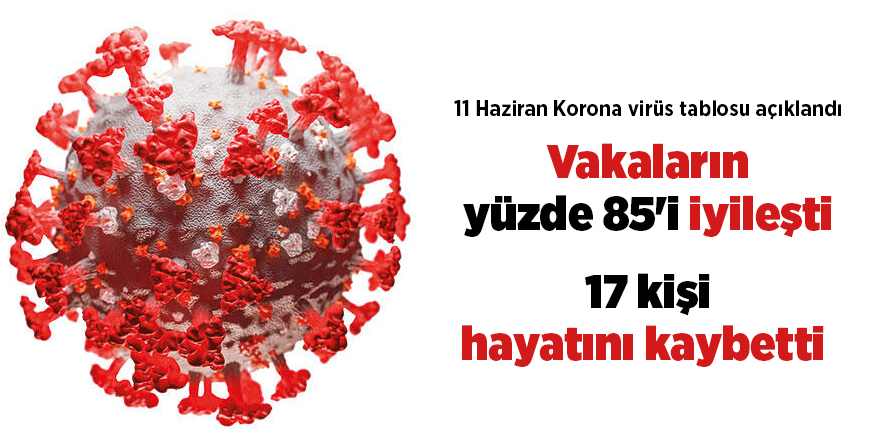 11 Haziran Korona virüs tablosu açıklandı